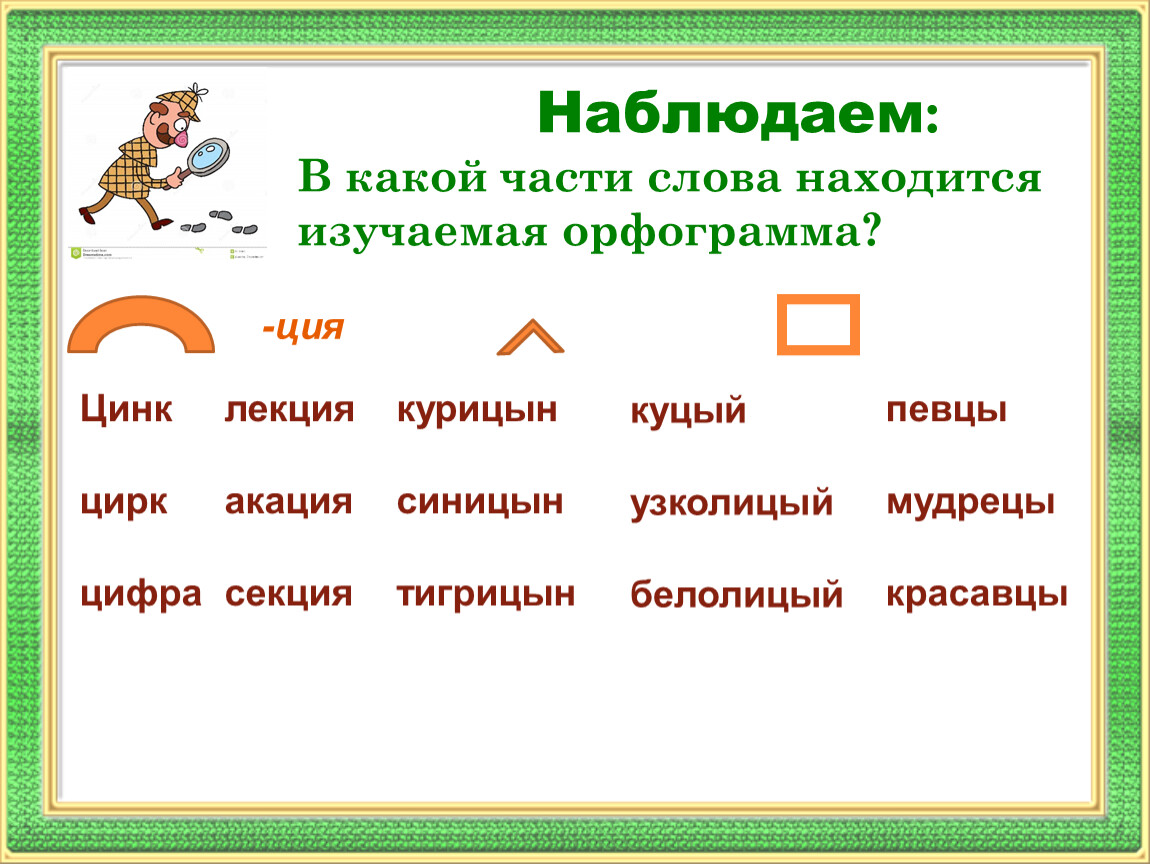 Куцый как пишется. Орфограмма в слове расположить. Акация орфограмма. Орфограмма в слове вечер. Орфограмма в слове герб гербы.