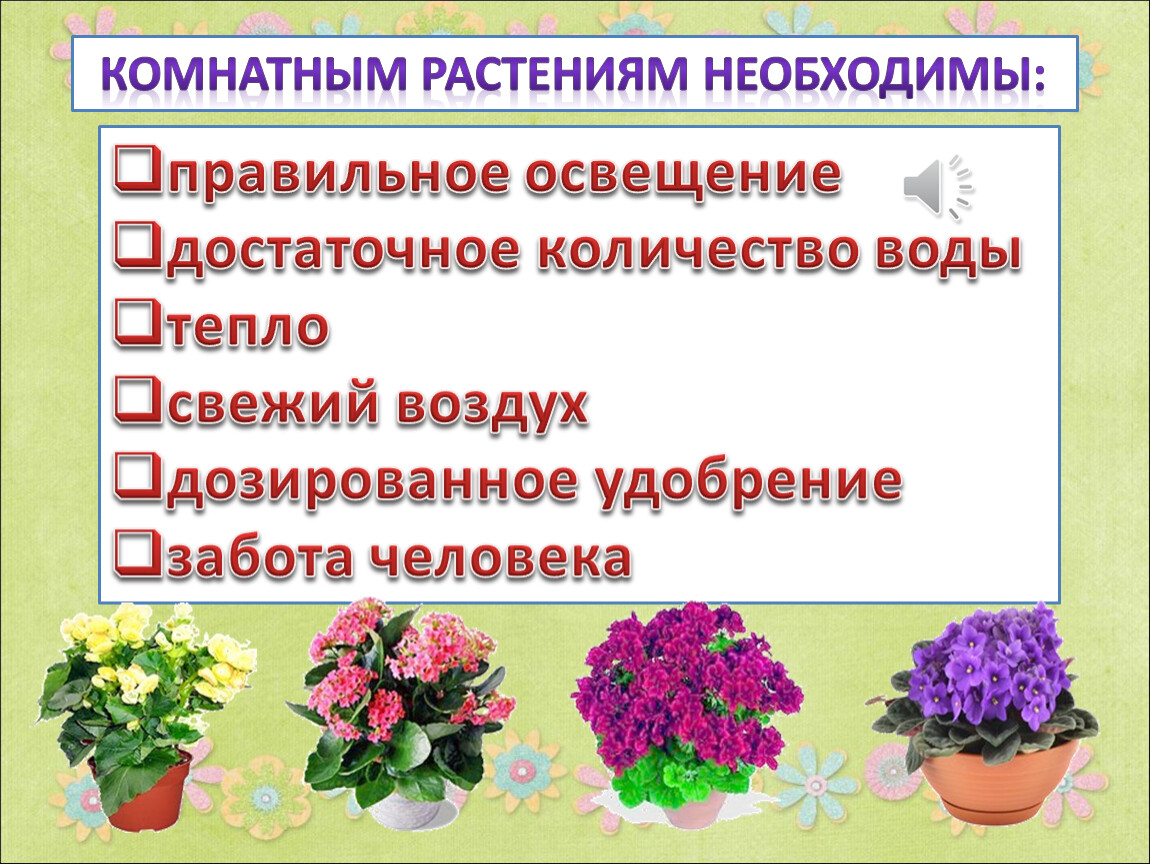 Презентация что растет на подоконнике 1 класс школа россии