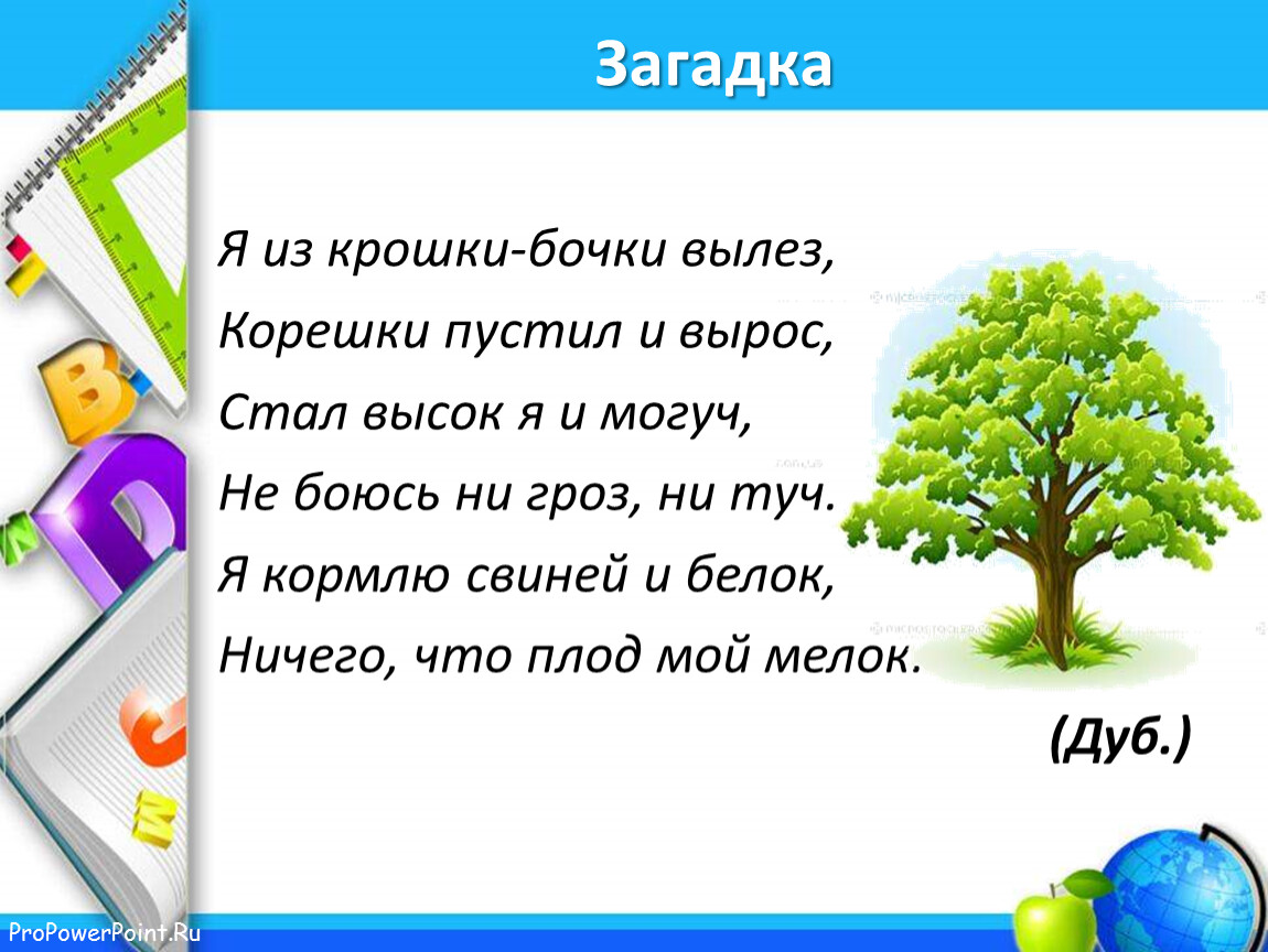 Презентация по русскому языку на тему