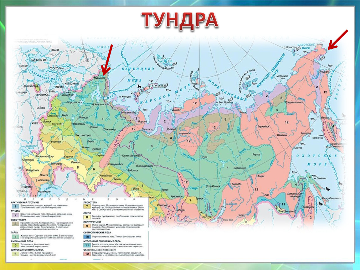 Зона тундр располагается на севере россии. Зона тундры на карте природных зон. Тундра России на карте России. Расположение тундры на картк Росси. Зона пустынь 4 на карте.