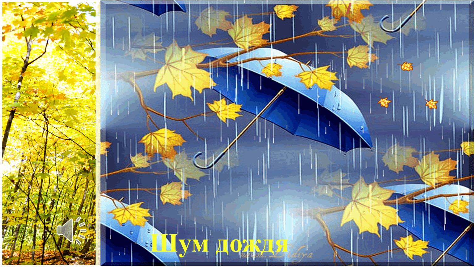 Осень дети дождь