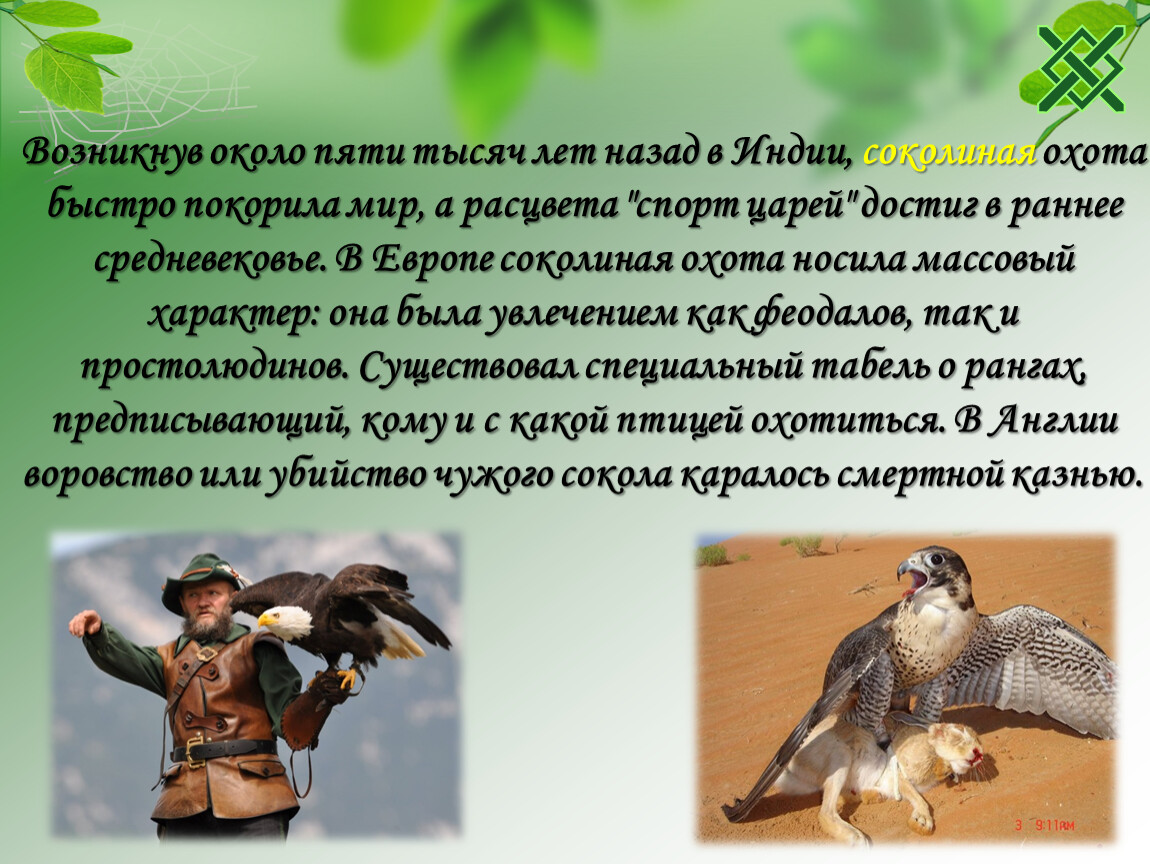 Возникнуть животный. Диктант Соколиная охота. Соколиная охота текст. Массовый характер в животных. Семейство Соколиные - презентация 54041-16.
