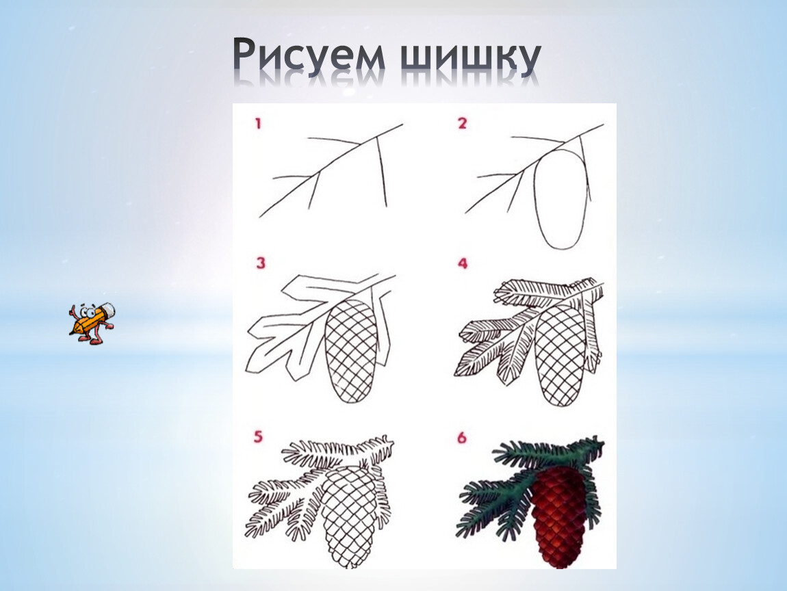 Как нарисовать шишку. Нарисовать еловую шишку. Поэтапное рисование шишки. Рисование еловой ветки с шишкой.