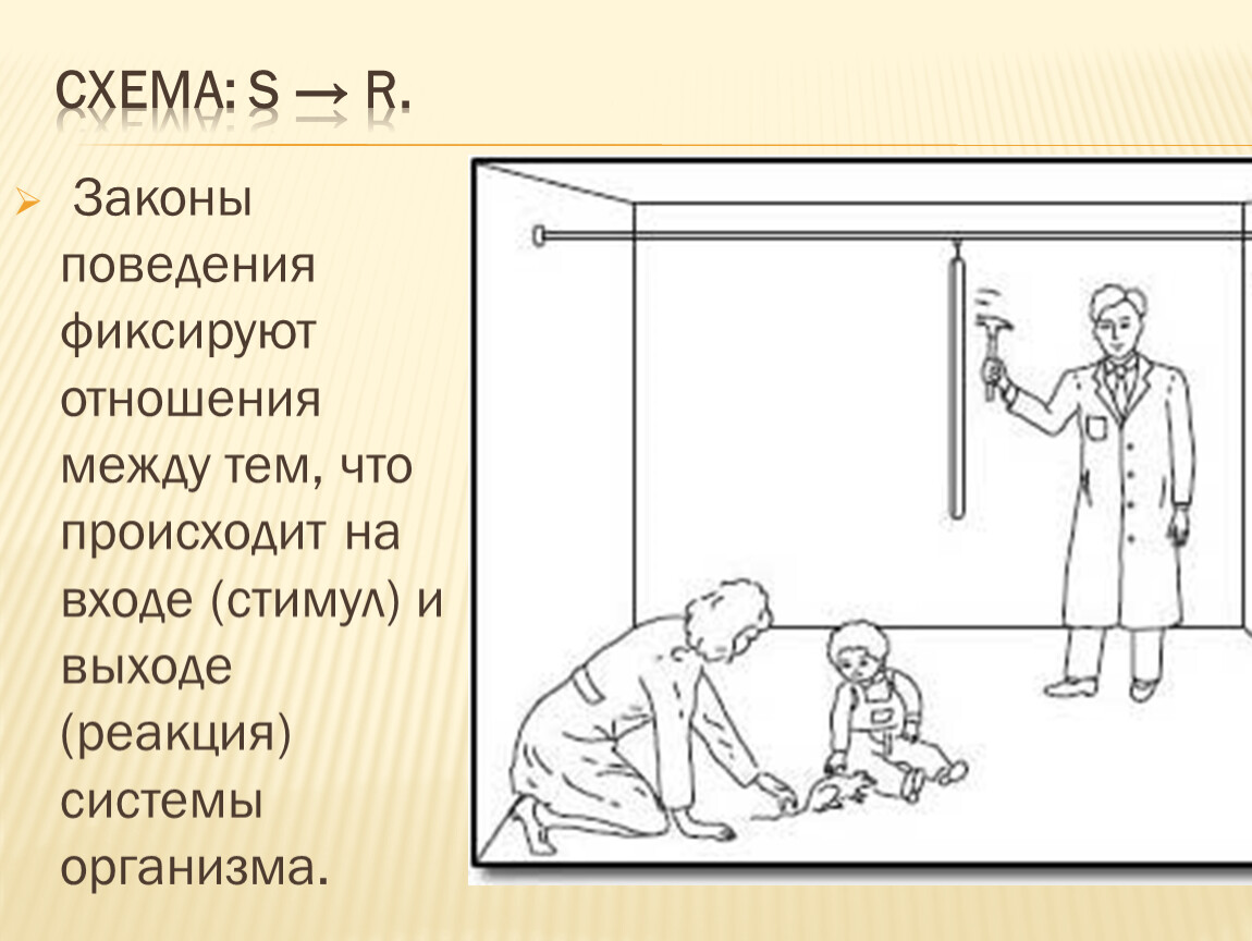 Законы поведения. Схема поведения к Халла. Закон поведения системы –. Фиксация поведения это в психологии.