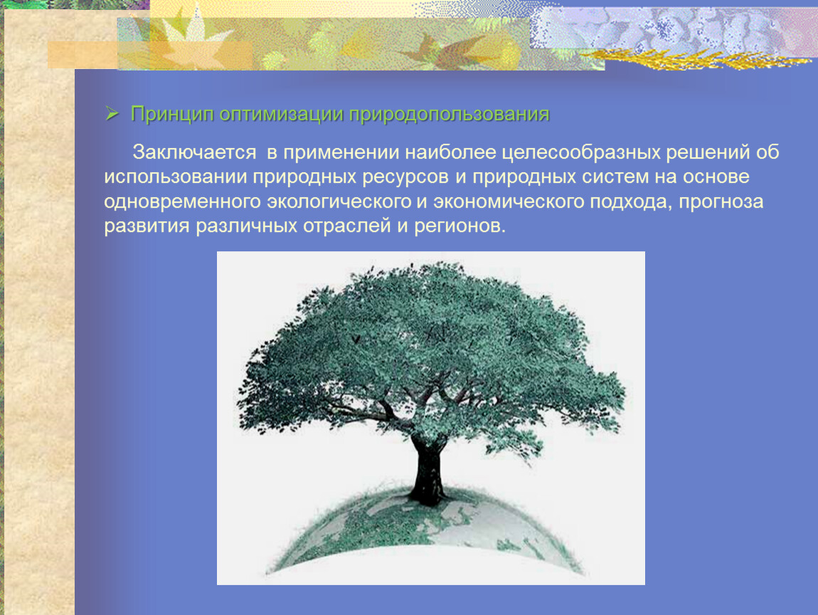 Охрана природы и основы рационального природопользования 9 класс план параграфа