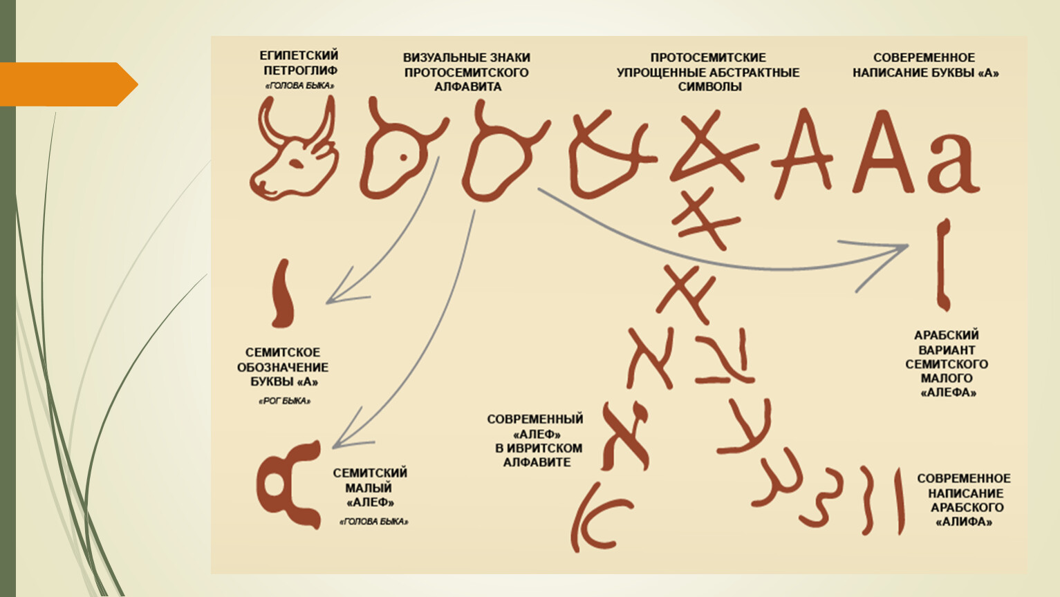 Алеф бык Финикийский алфавит
