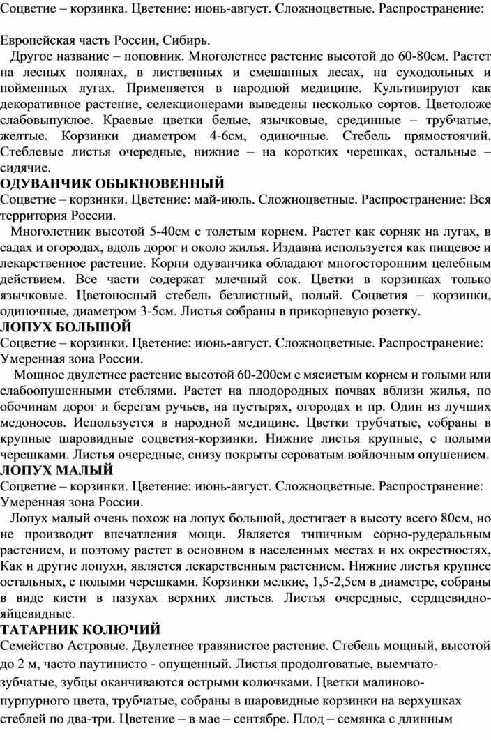 Исследовательская работа