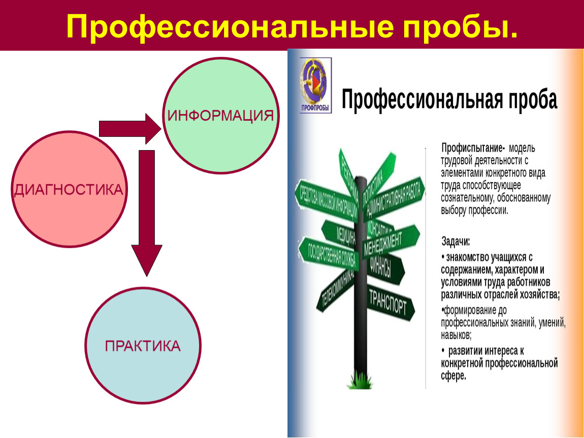 Найди своё будущее в школе