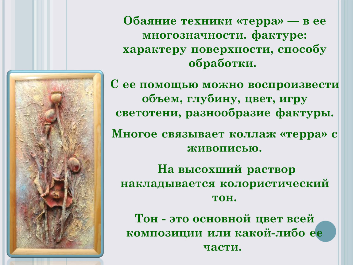 Обаяние это. Терра значение. Кого любила Терра?. Слово Терра откуда. Представители Терра фитов.