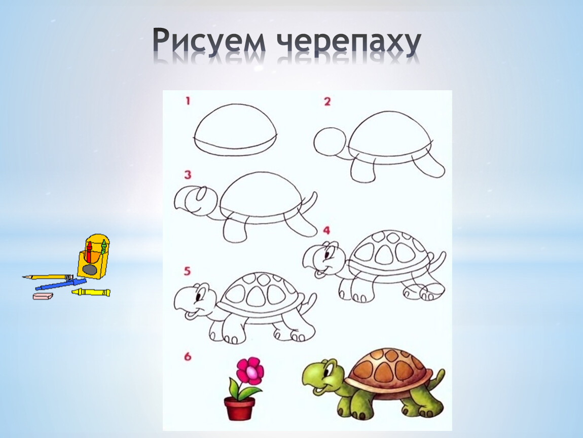 Рисуем черепаху 1 класс