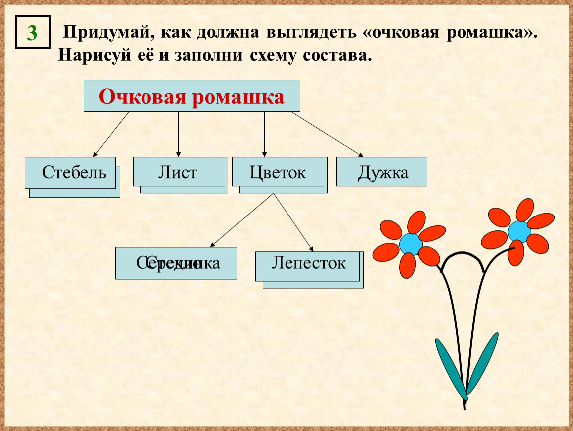 Схема состава рисунок. Очковая Ромашка Информатика. Как выглядит очковая Ромашка. Составные части ромашки. Очковая Ромашка Информатика 4 класс.