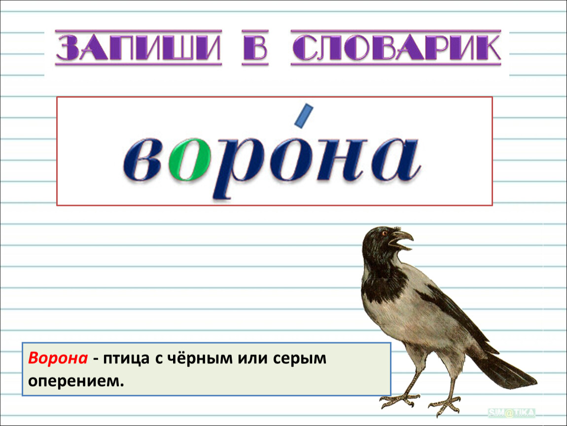 Предложение с вороной. Птица с черным или серым оперением. Птица с черным или серым оперением 2 класс. Ворона Чистописание. Птица с черным или серым оперением лексическое значение.