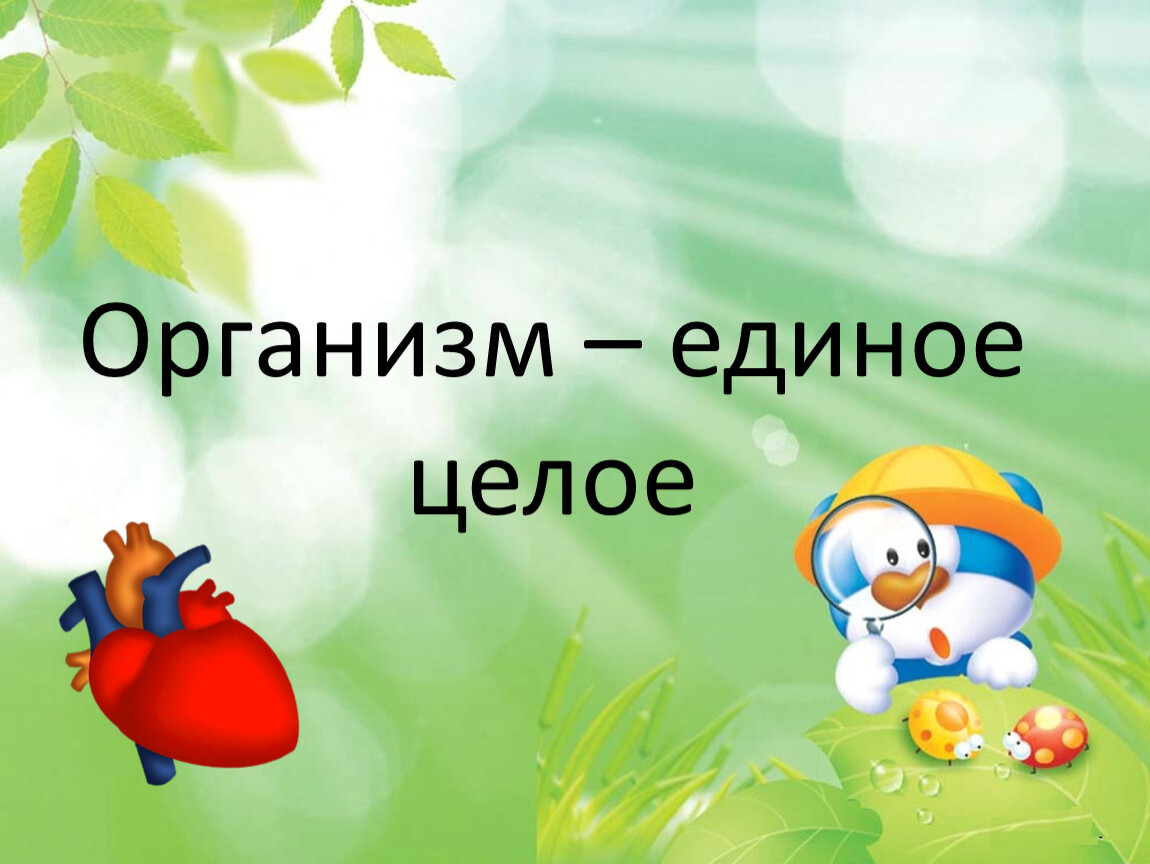 Биология 5 класс организм единое. Наш класс единое целое. Единое целое статус.