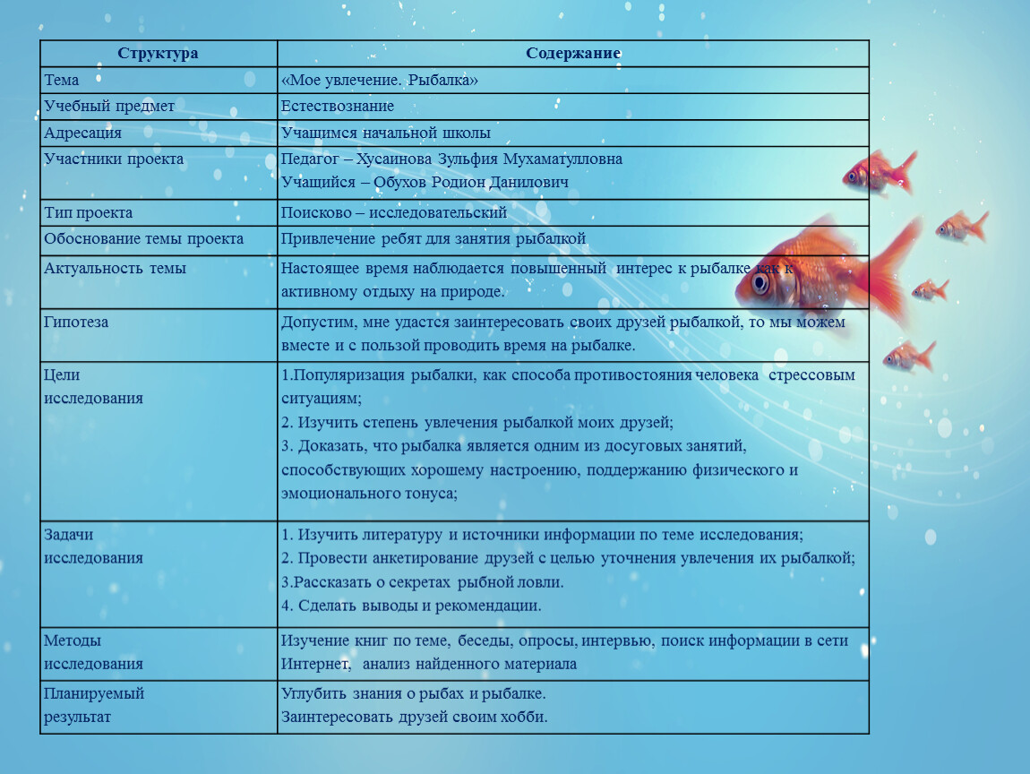 Структура Содержание Тема «Мое увлечение