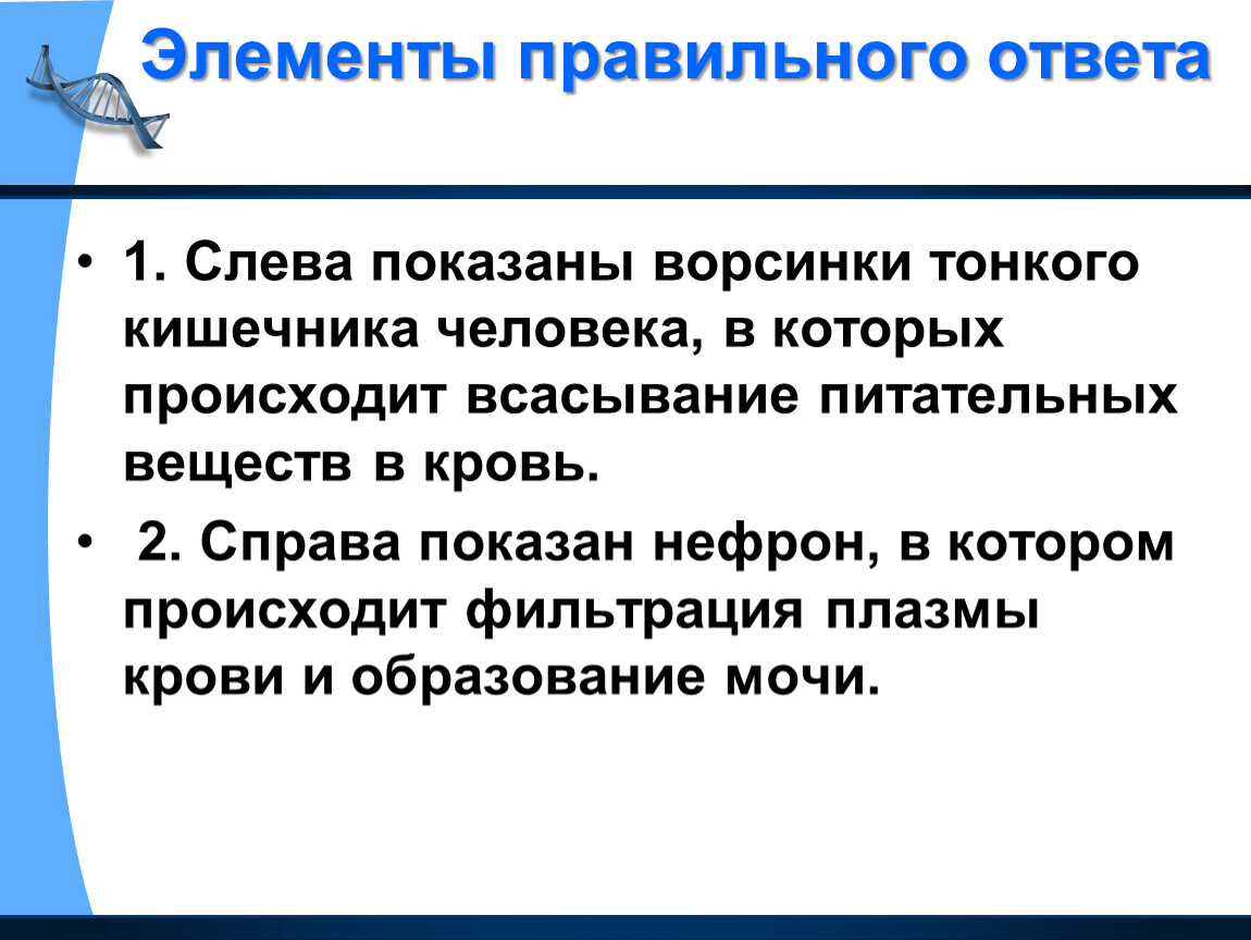 Ответ левый. Амортизация это в биологии при ходьбе. Амортизация при ходьбе.