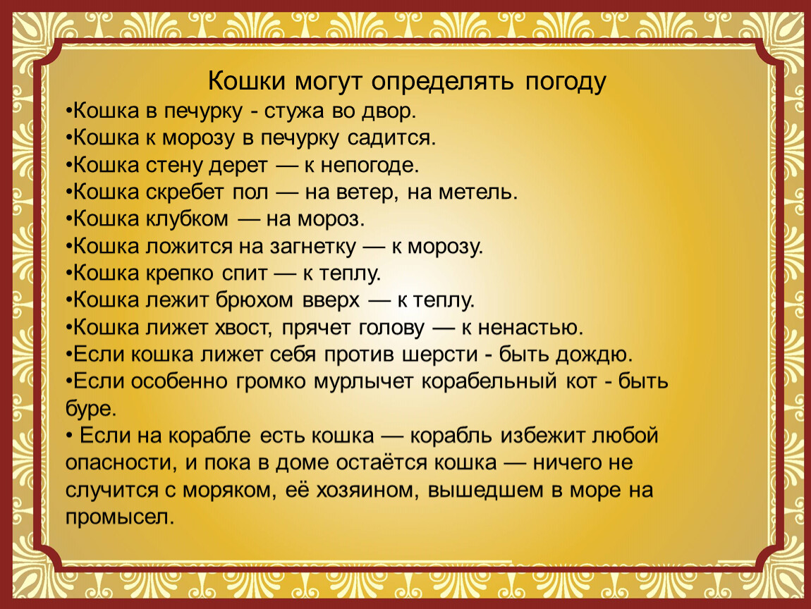 Как кошки узнают погоду. Как коты предсказывают погоду. Приметы по кошкам о погоде. Кошка к печурке стужа на двор. Как определить погоду по кошке.