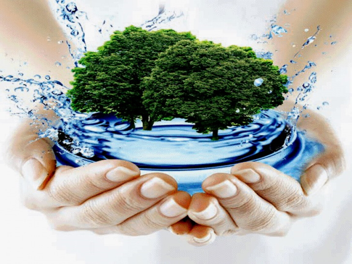 Экологическое водопользование