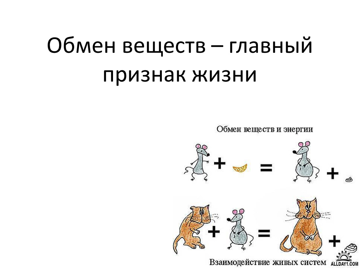 Презентация на тему обмен веществ главный признак жизни 6 класс презентация