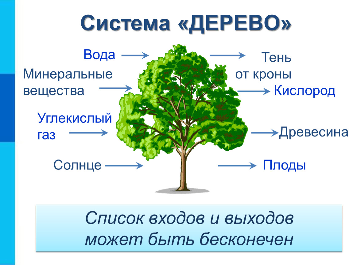 Элемент системы дерево. Система дерева. Система дерева Информатика. Системы объектов примеры. Система.