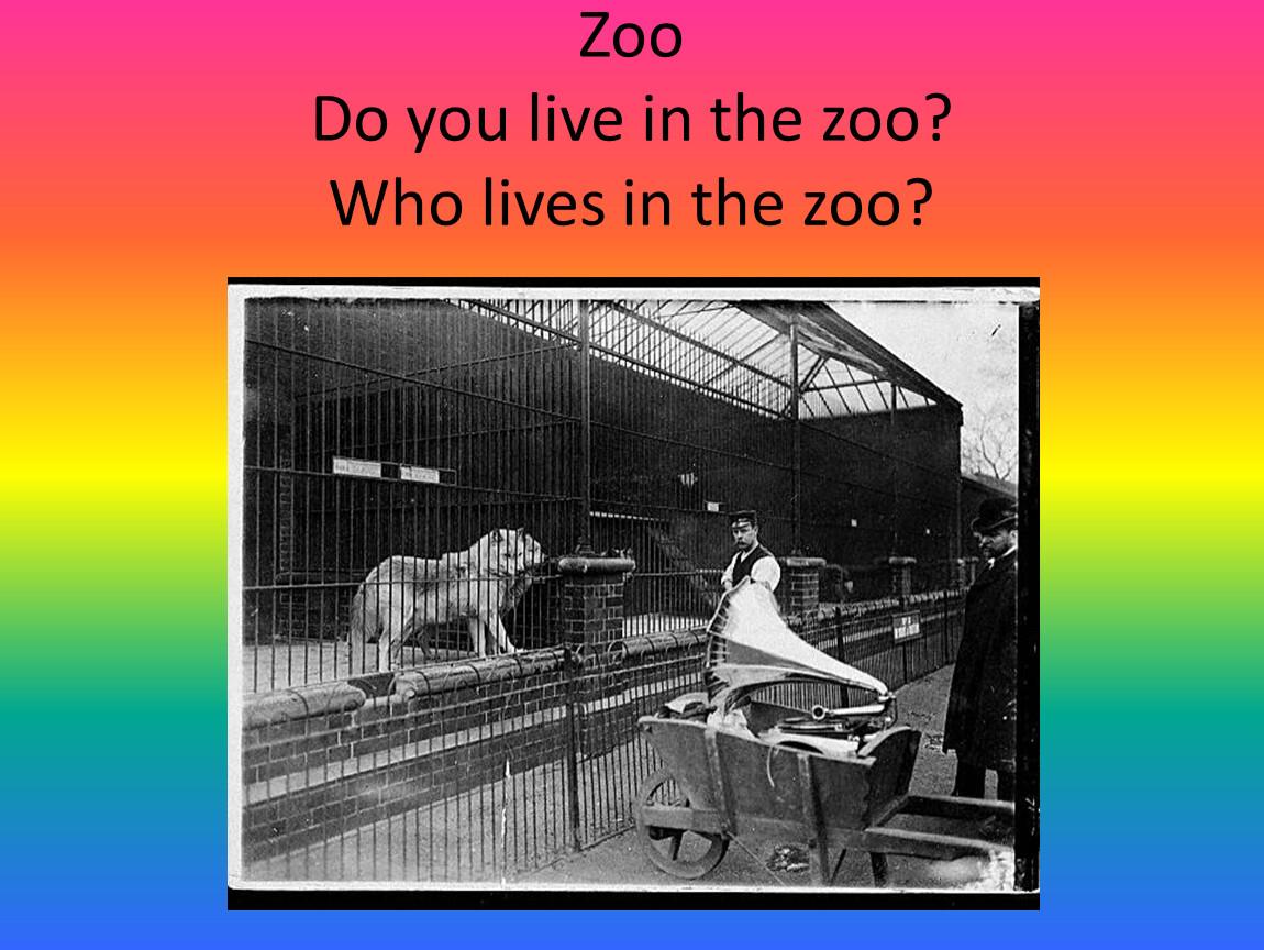 Do you Live in the Zoo.