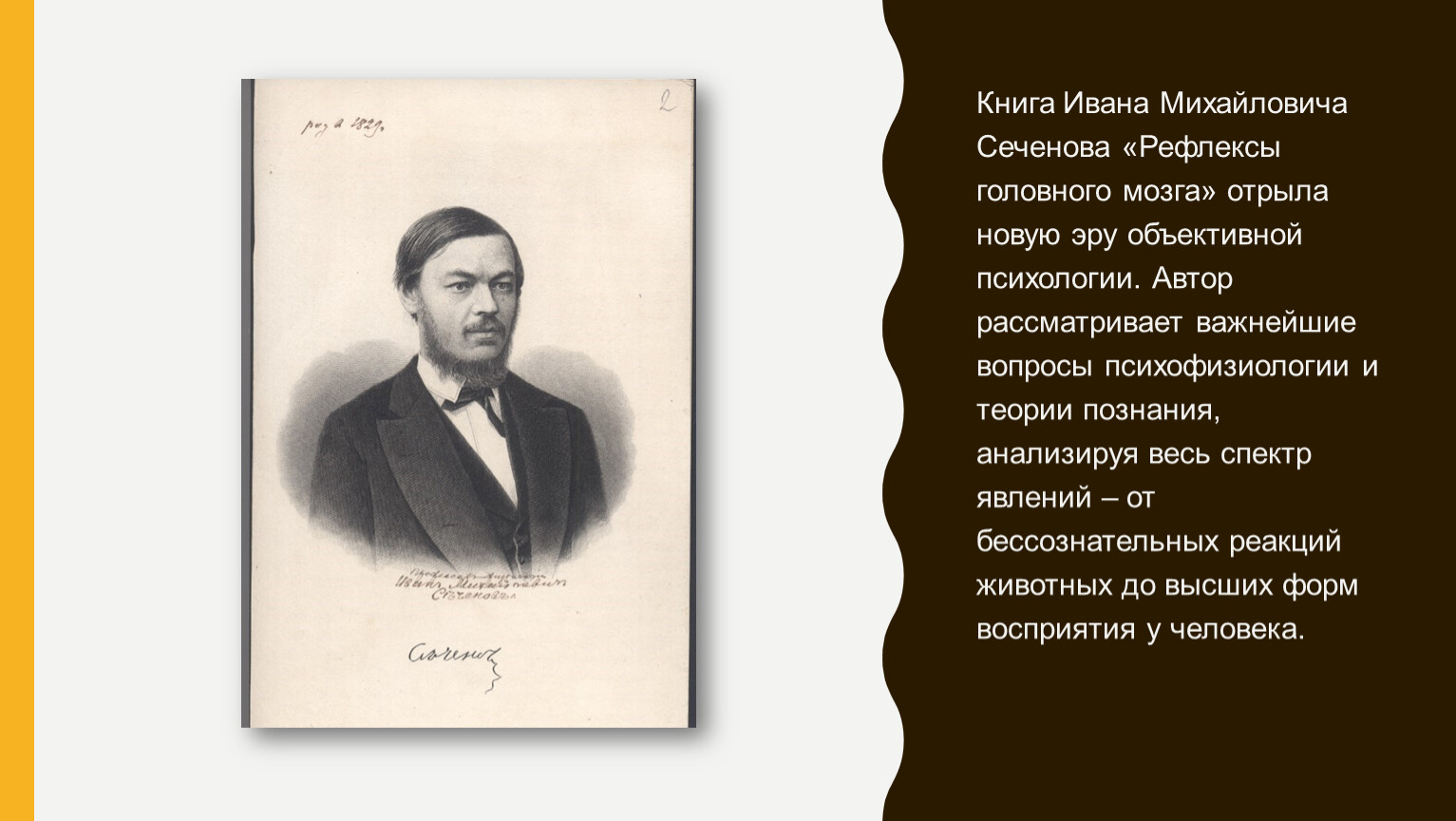 И.М. Сеченов и его труд «Рефлексы головного мозга»