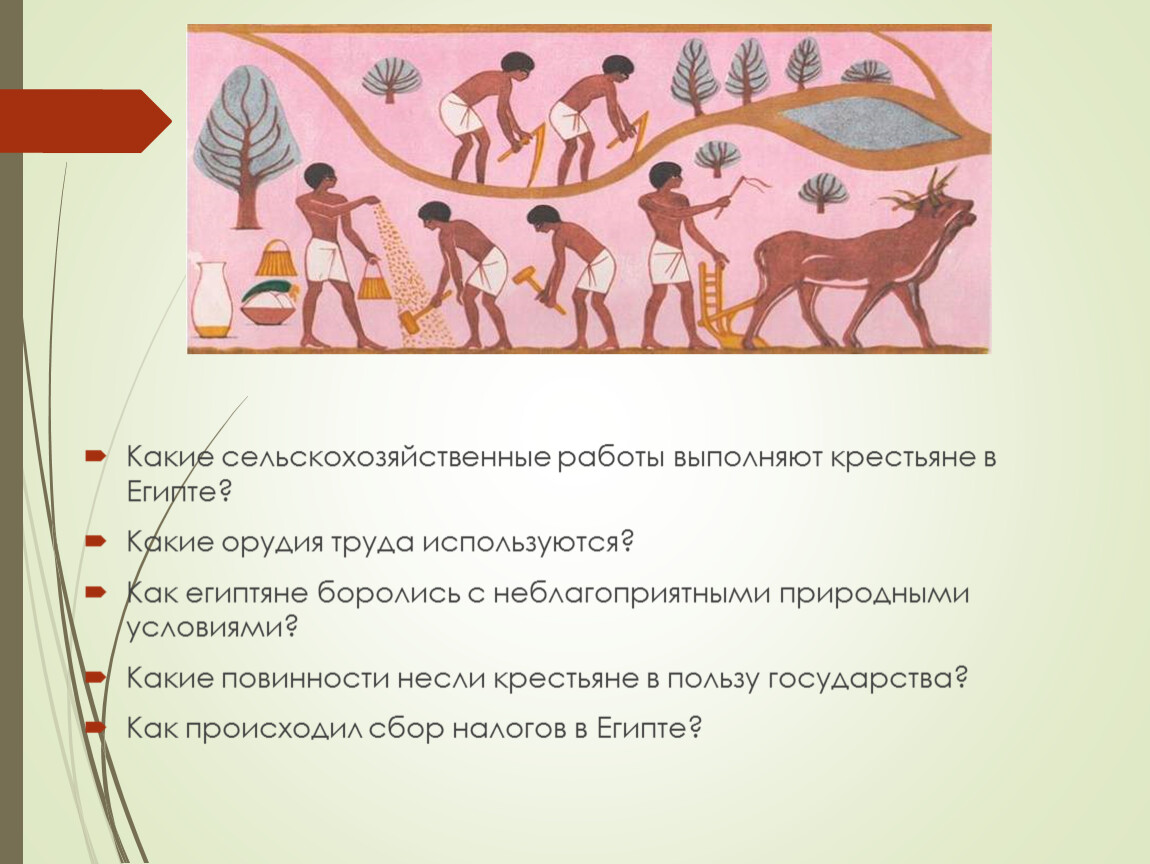 Работы какие действия выполняли. Какие работы выполняли крестьяне. Какую работу выполняли земледельцы в древнем. Какие виды работ выполняли крестьяне. Какие виды сельскохозяйственных работ которые выполняли крестьяне.