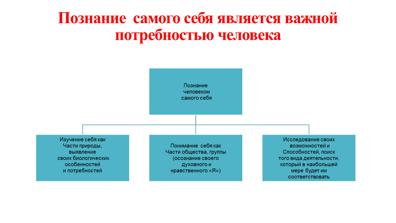 Человек познаёт мир