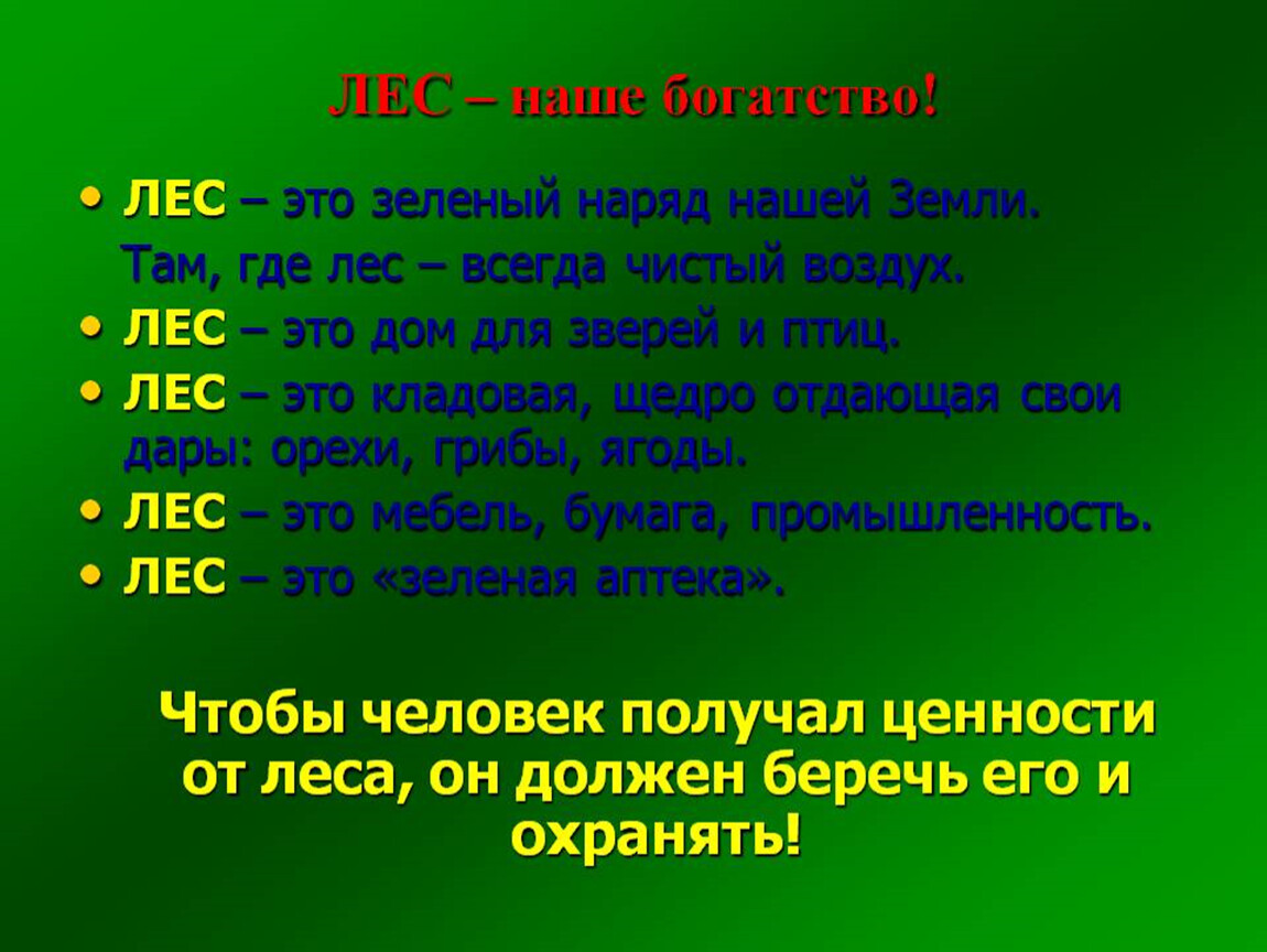 Лес и человек тест. Богатства отданные людям лес. Что дает лес человеку. Что дает лес человеку 3 класс. Богатства отданные людям проект про лес.