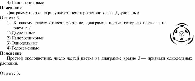 Практическая работа 31 диаграммы