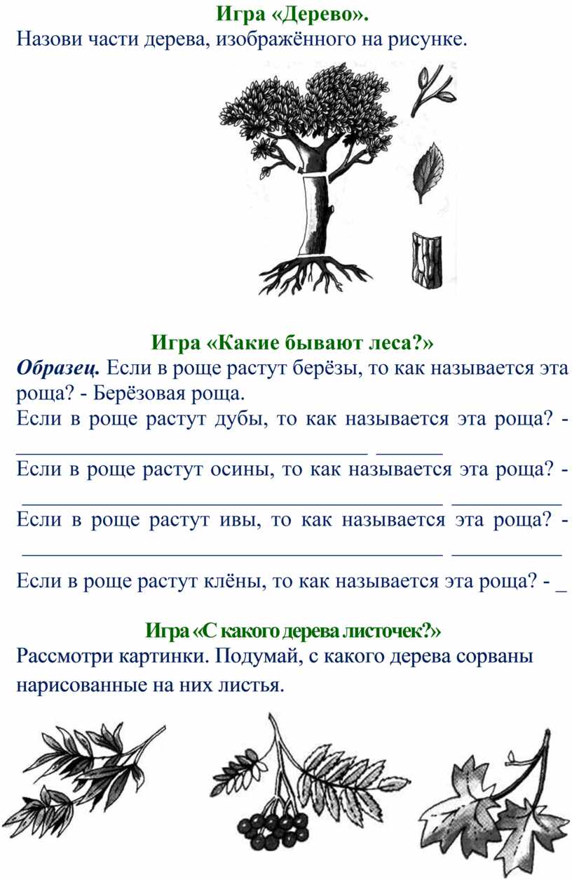 Рассказ деревья растут для всех. Рекомендации родителям по теме деревья. Как называется это дерево. Как назвать дерево. На рисунке изображено дерево.