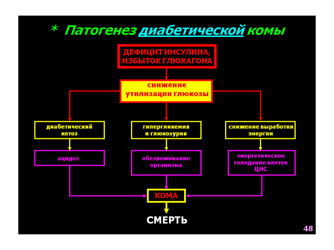 6 лет комы. Диабетическая кома механизм развития. Механизм развития гипергликемической комы. Патогенез гипергликемической комы патофизиология. Патогенез гипергликемической комы при сахарном диабете.