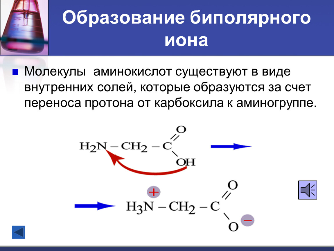 Аминокислоты бывают. Образование цвиттер Иона аминокислот. Образование биполярного Иона аминокислот. Схема образования биполярного Иона глицина. Соединение, способное образовывать биполярные ионы.