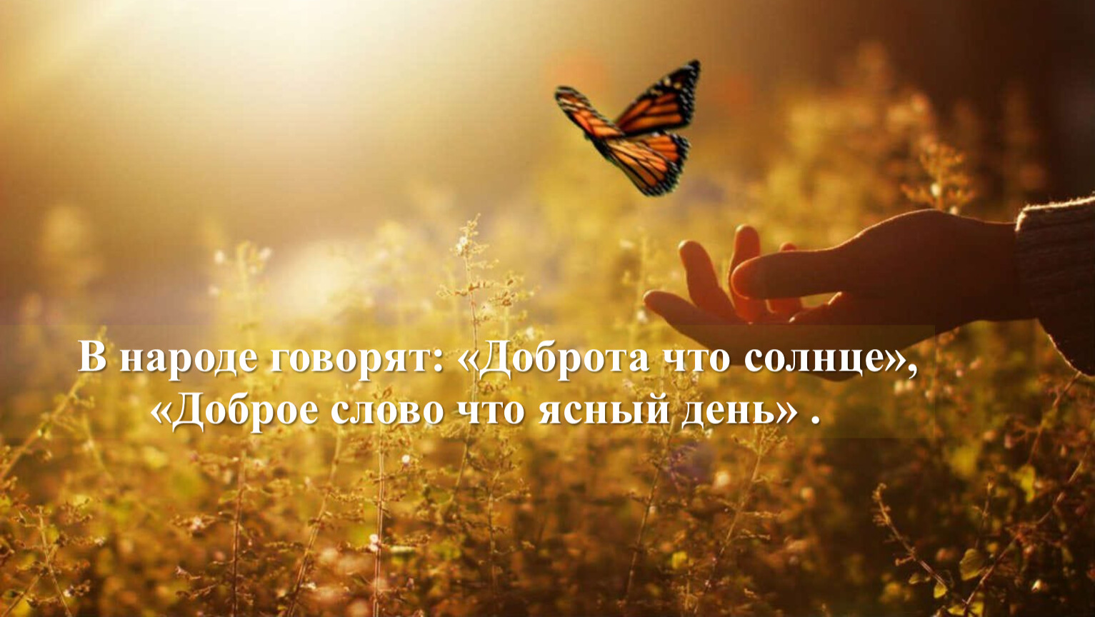 Всем людям мир вернем. Бабочка на ладони. На руку бабочка. Радость жизни природа. Прекрасные мгновения жизни.