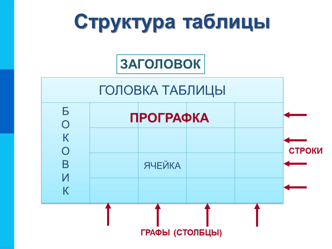 Стили Таблиц Презентация