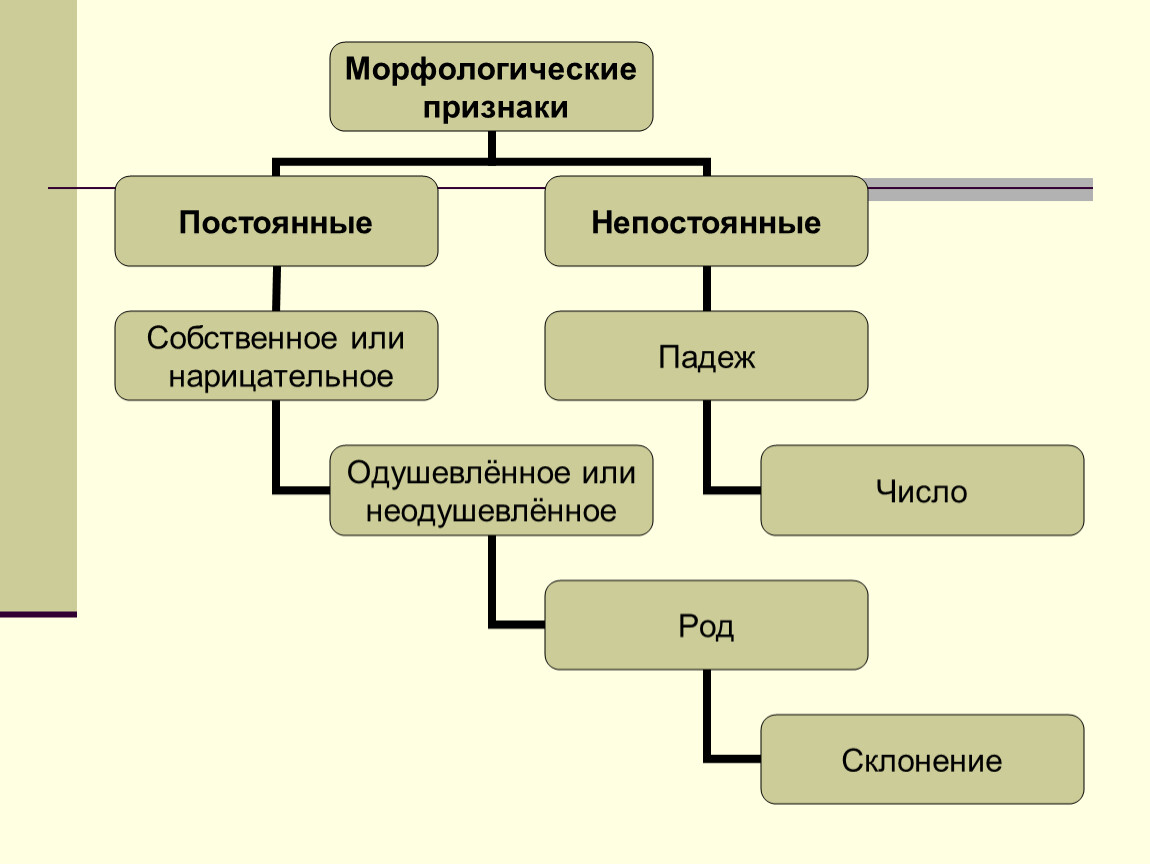 День постоянные признаки. Постоянные признаки собственное или нарицательное. Морфологические признаки собственное или нарицательное.