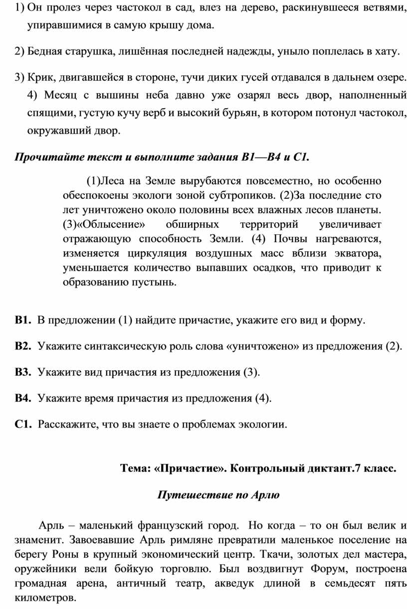 Вводный контроль Русский язык. 7 класс Контрольный диктант. (Повторение  изученного)