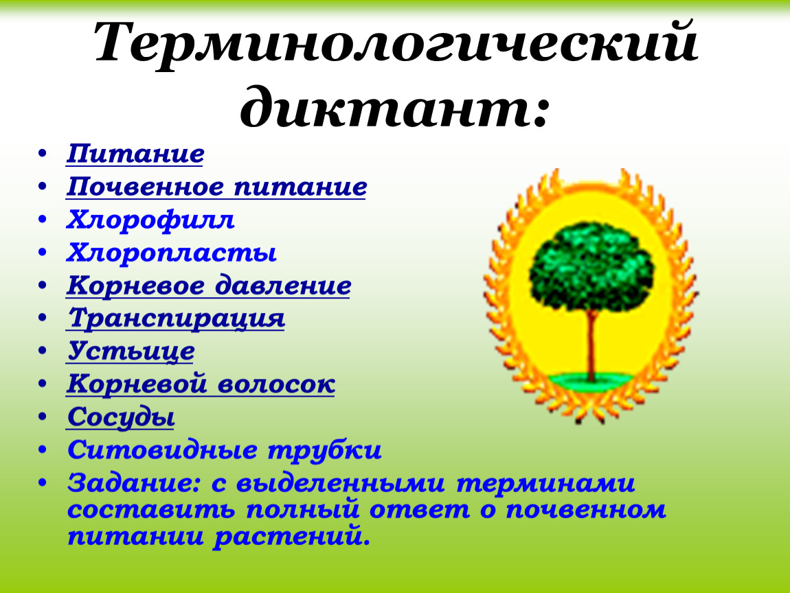 Биология 5 класс жизнедеятельность организмов параграф. Терминологический диктант. Терминологический диктант по биологии. Терминологический диктант по биологии 6 класс. Терминологический диктант питание растений.