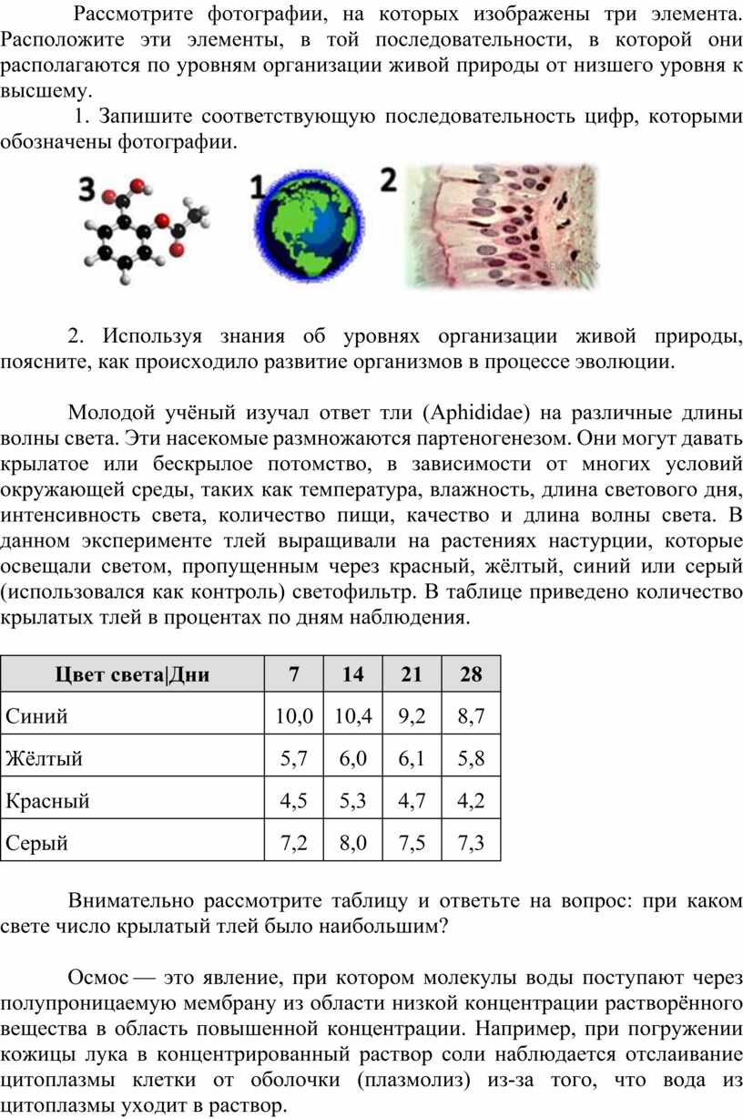 Рассмотрите три фотографии какое понятие объединяет объекты изображенные на фотографиях