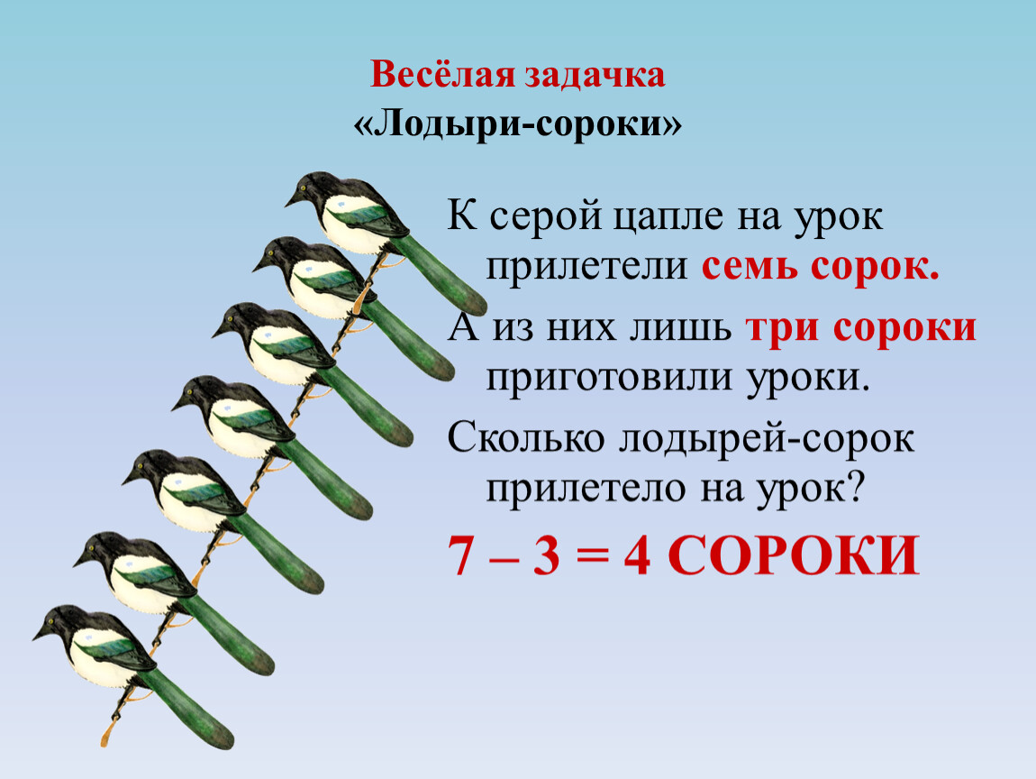 Семь сорок. Математическая разминка с птицами. Сем сулок. 40 Сорок.