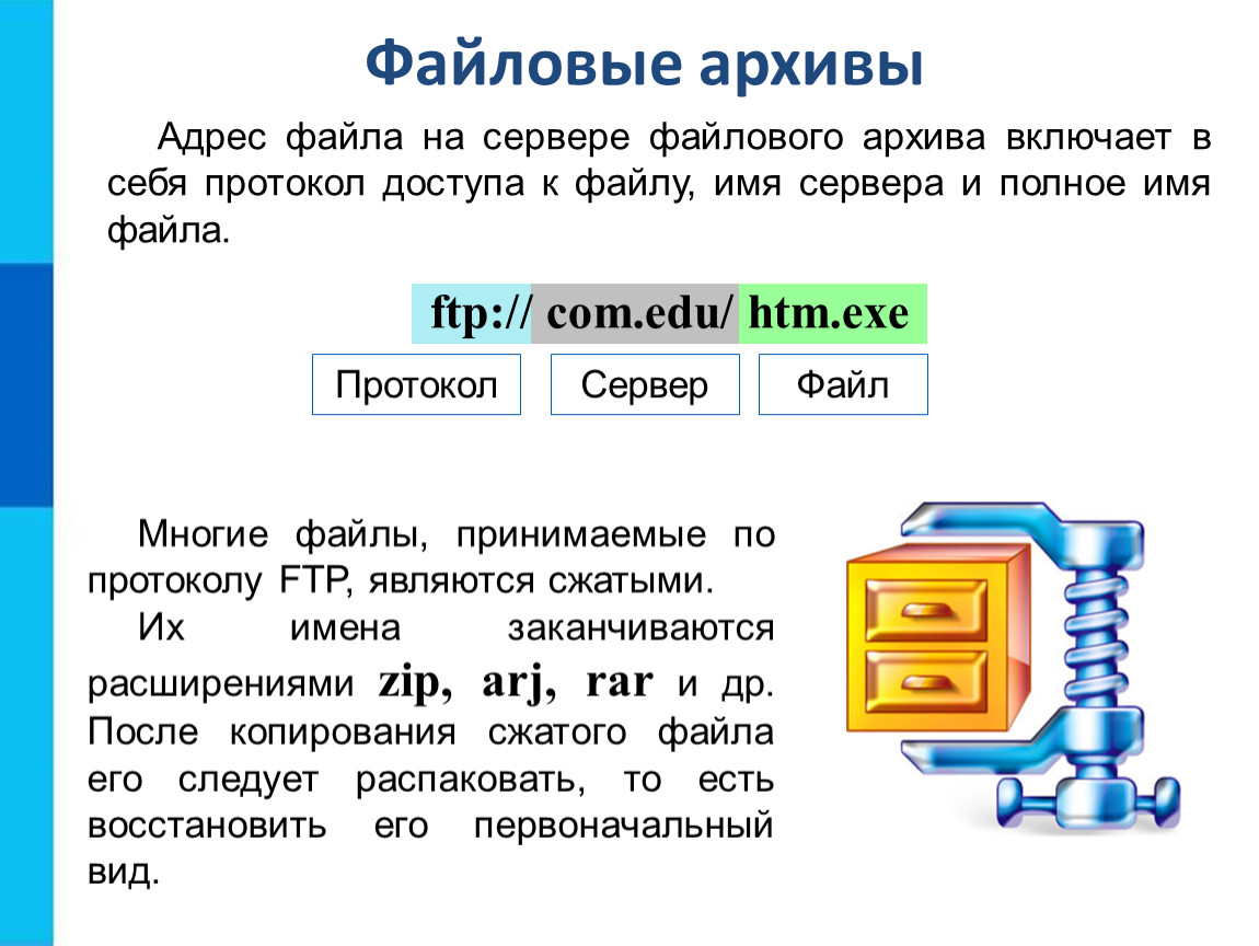 Протокол сервер файл Информатика