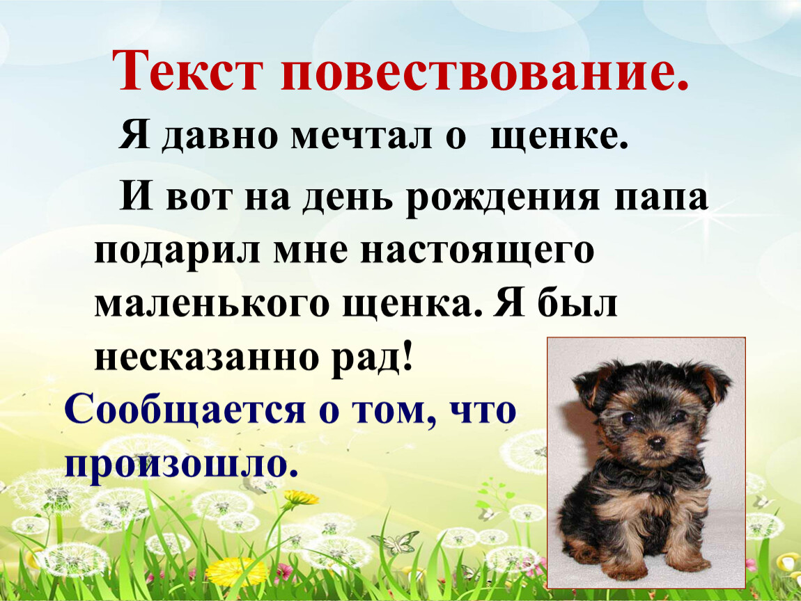 Один текст повествования. Текст для презентации. Аргументы повествовательного текста. Текст повествование. Текст повествование 2 класс про собаку.