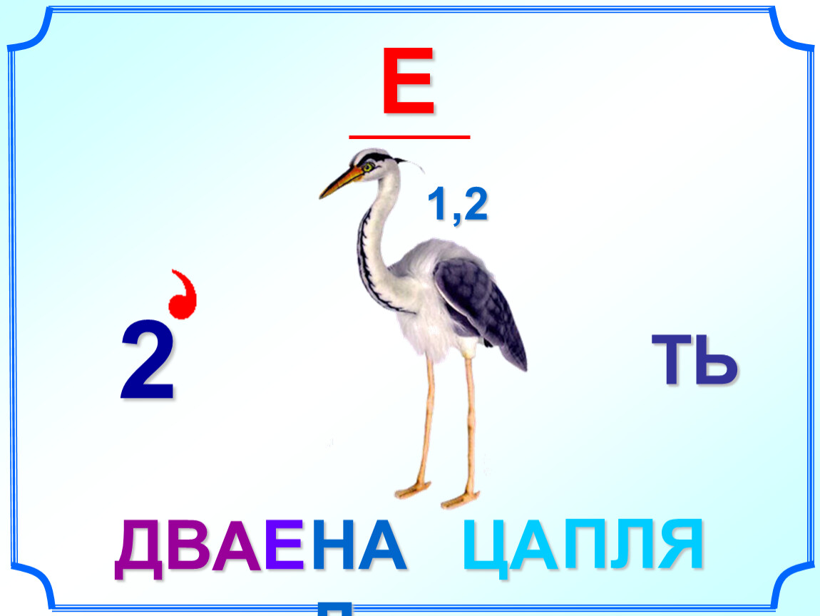 Букв ца. Ребус цапля. Е/2 ребус. Ребус отгадка цапля. Ребус е 1 птица.