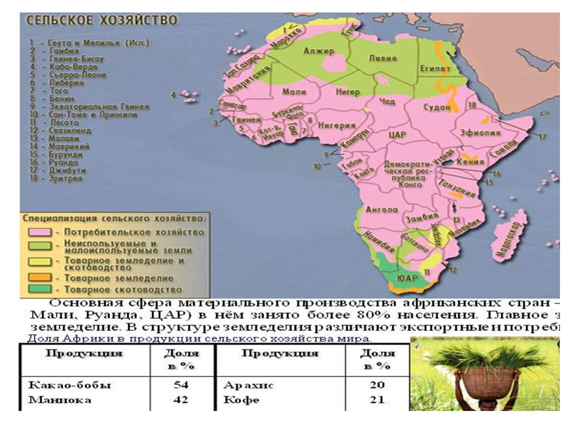 Общая характеристика Африки 11 класс. География 11 класс субрегионы Африки. Хозяйство тропической Африки. Общая характеристика хозяйства Африки.