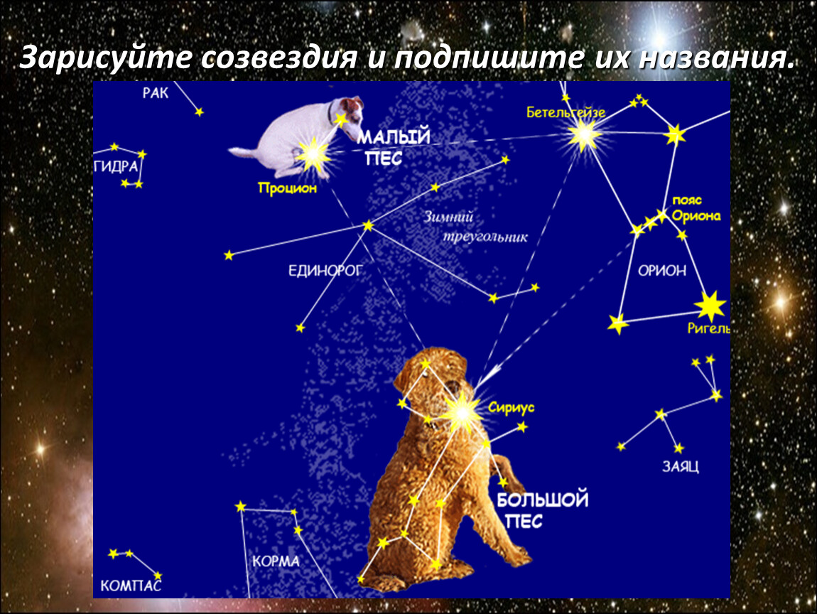 Презентация звездное небо весной 2 класс. Созвездие Орион большой пес и малый пес. Созвездия весеннего неба малый пес. Созвездие большого пса. Созвездие большого пса фото.