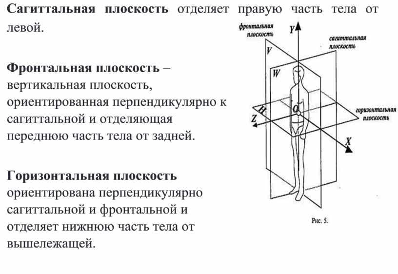 Участок сокращенного миометрия по передней стенке