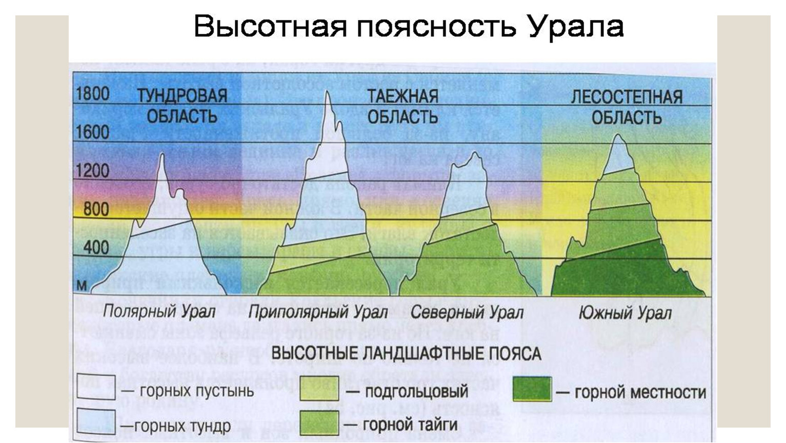 Горные системы высотной поясности на карте. Климат ВЫСОТНОЙ поясности в России. Высотная поясность класс 8 класс. Высотная поясность Алтая 8 класс.