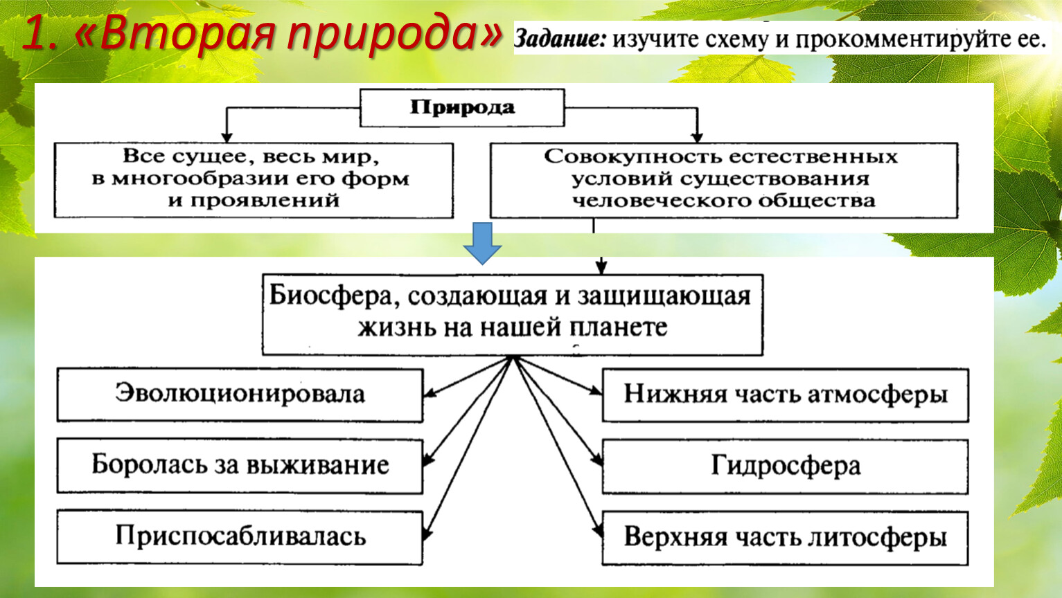 Проект по обществознанию 7 класс воздействие человека на природу