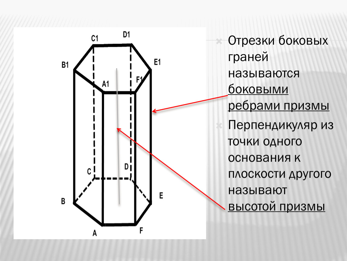 Боковое ребро призмы это