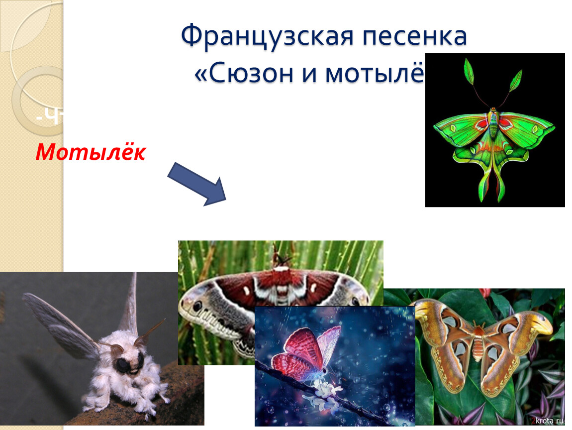 Французская народная песенка сюзон и мотылек презентация