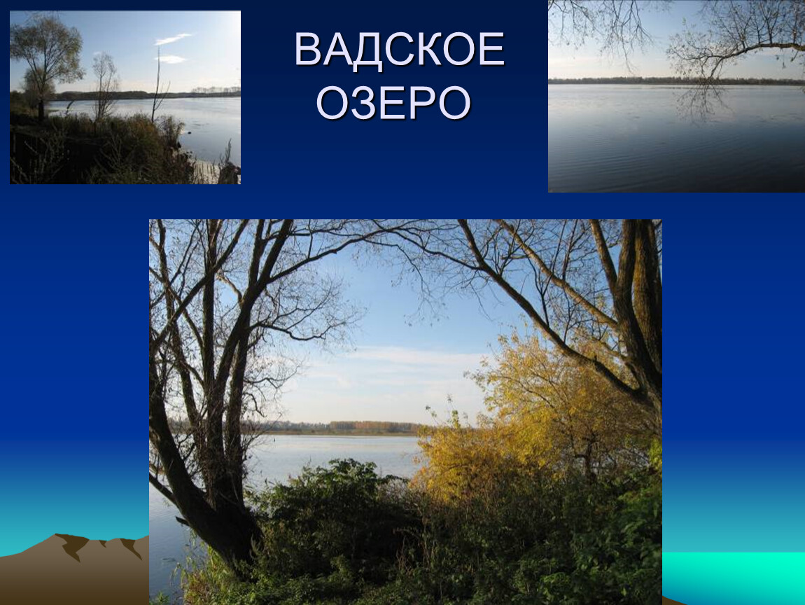 Наш край проект 4 класс окружающий. Разнообразие природы Нижегородской области. Природа Нижегородской области проект. Разнообразие природы Нижегородского края. Проект по теме наш край Нижегородская область.